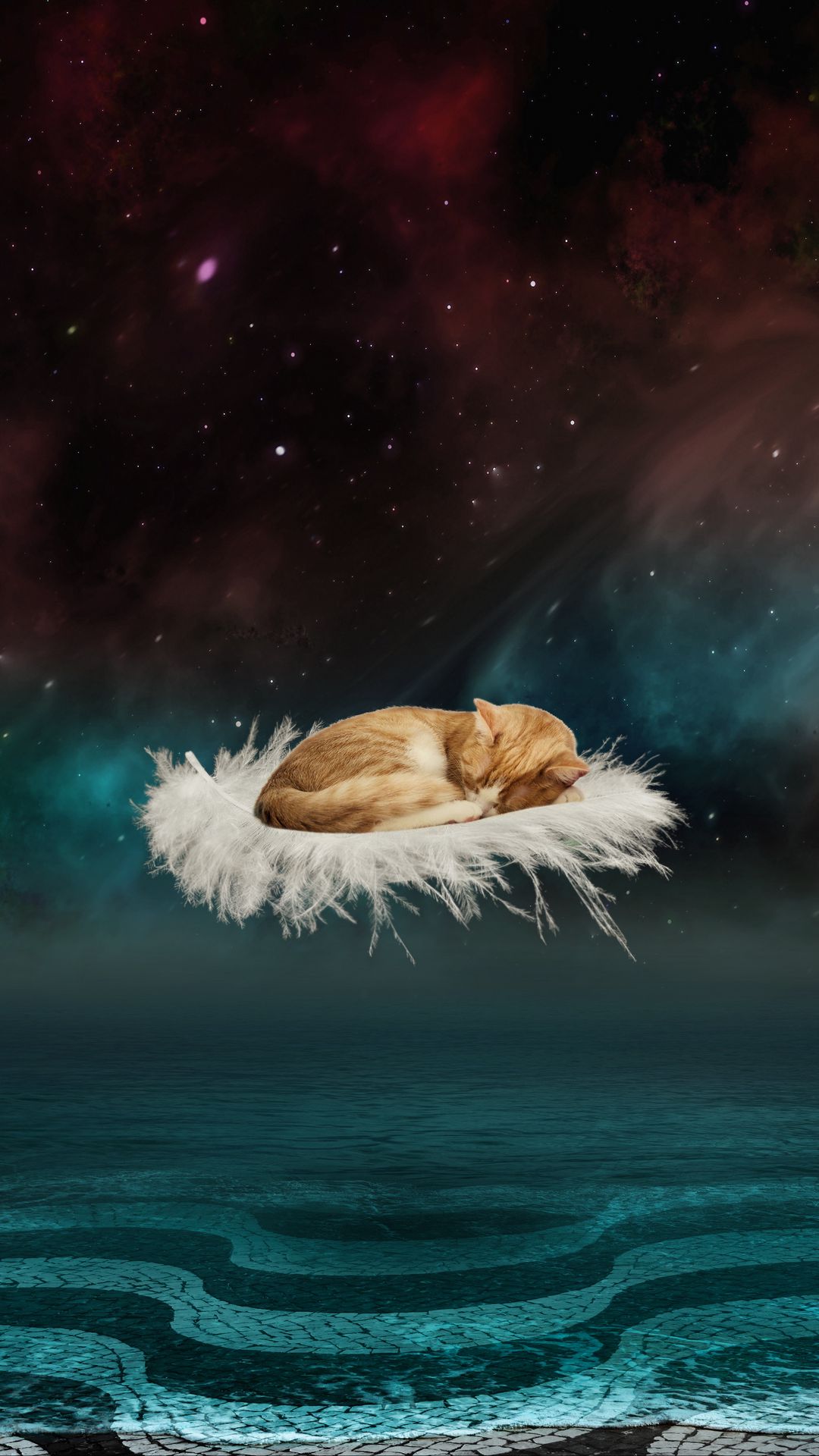 Wallpaper Cat Photoshop Feather Flight