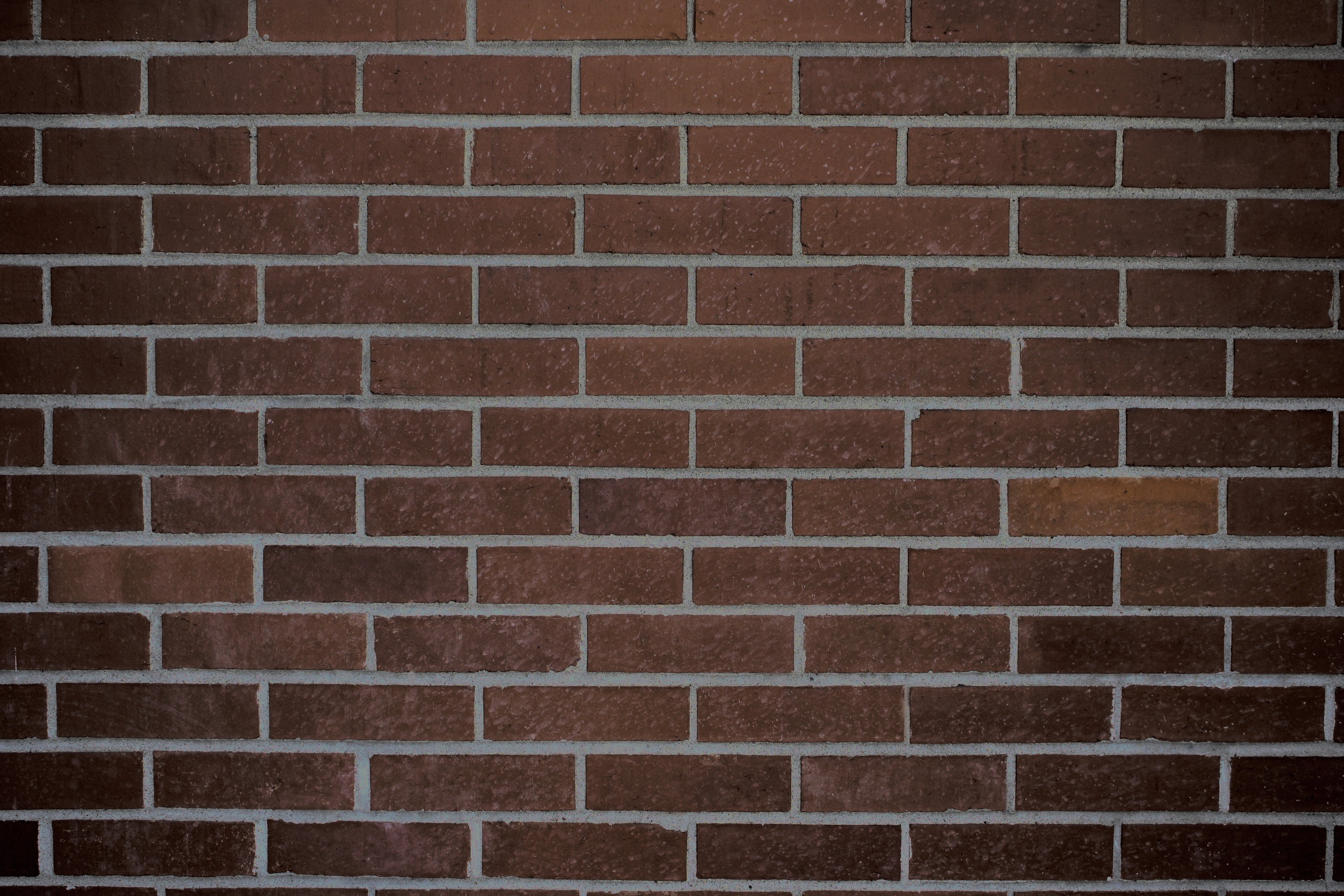 Dark Brown Brick Wall Texture Picture Photograph Photos