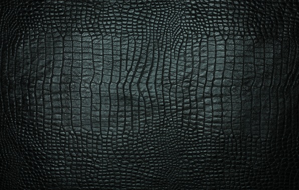 Wallpaper Texture Leather Black Crocodile Textures