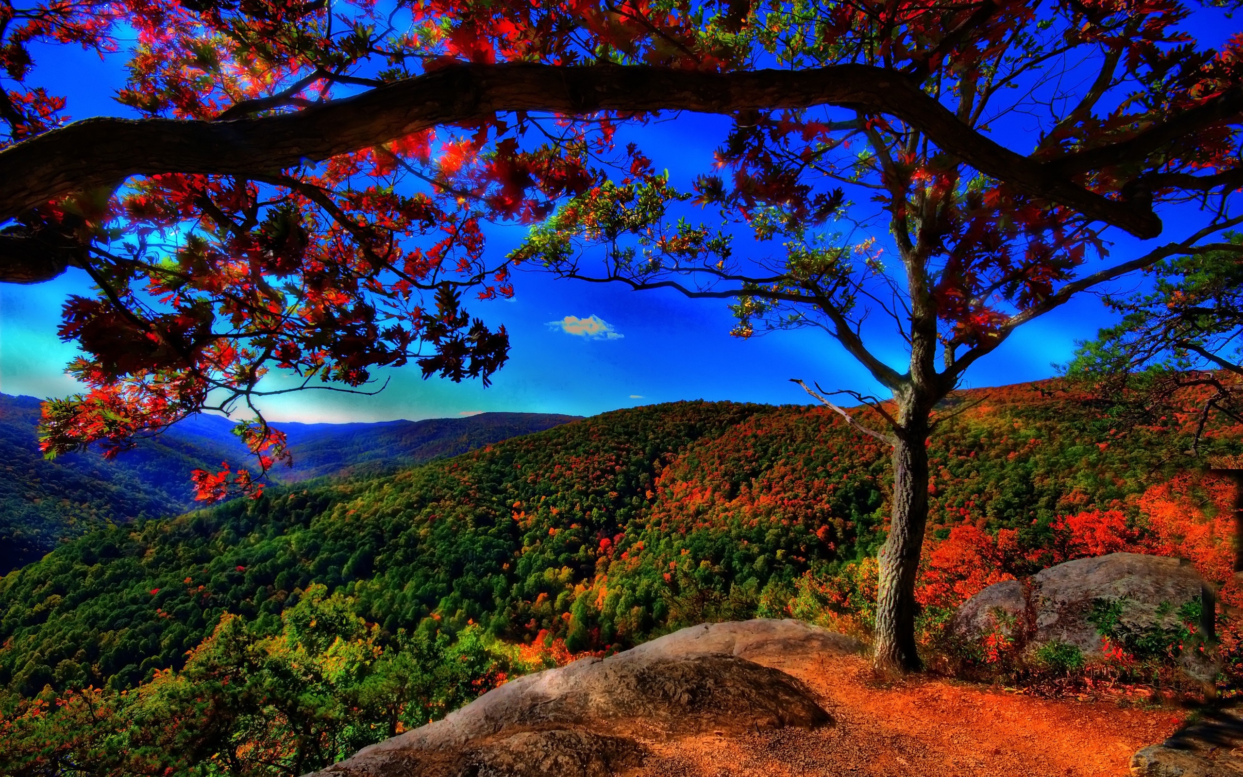 Autumn Wallpaper Landscape HD