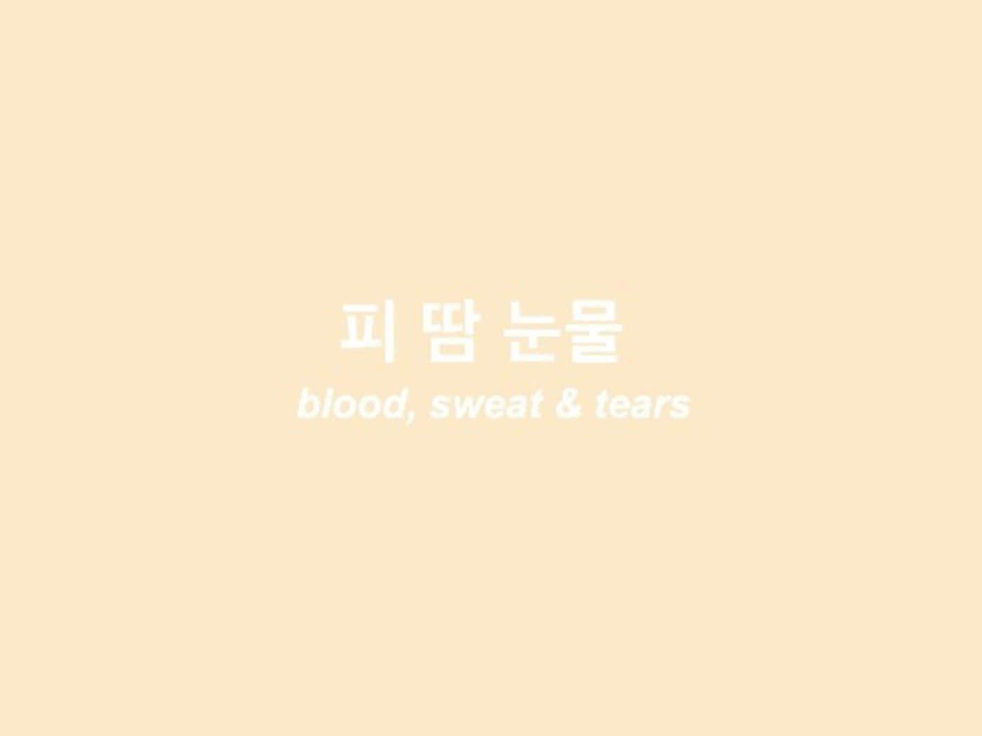 Korean Aesthetic Wallpaper
