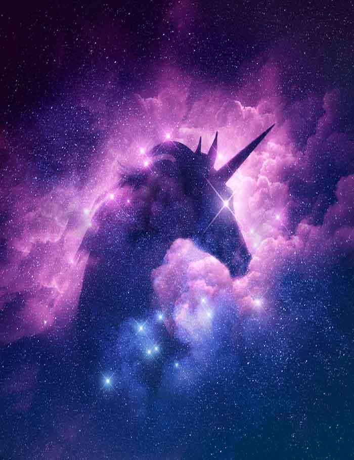 Unicorn Silhouette In Galaxy Nebula Cloud Photography Backdrop J