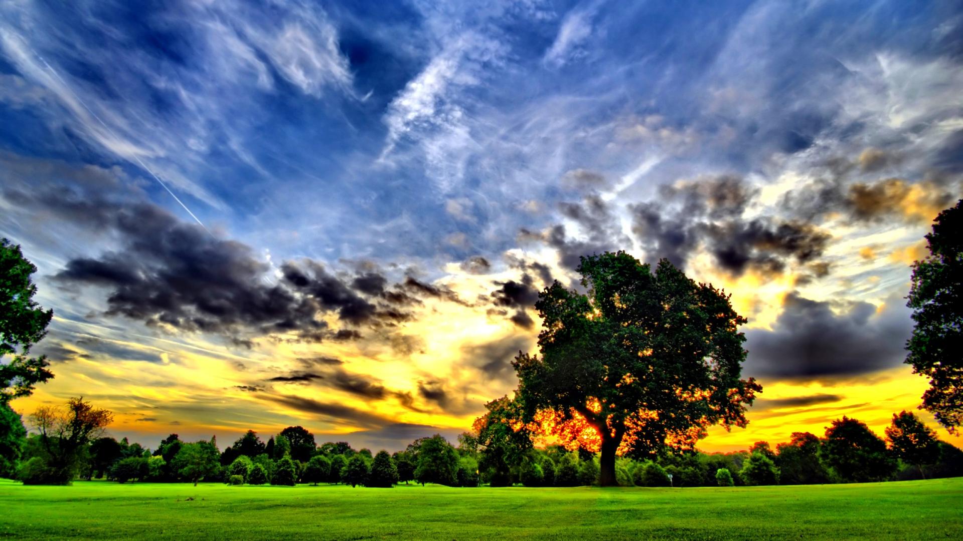 Cool Nature Background Image Wallpaper