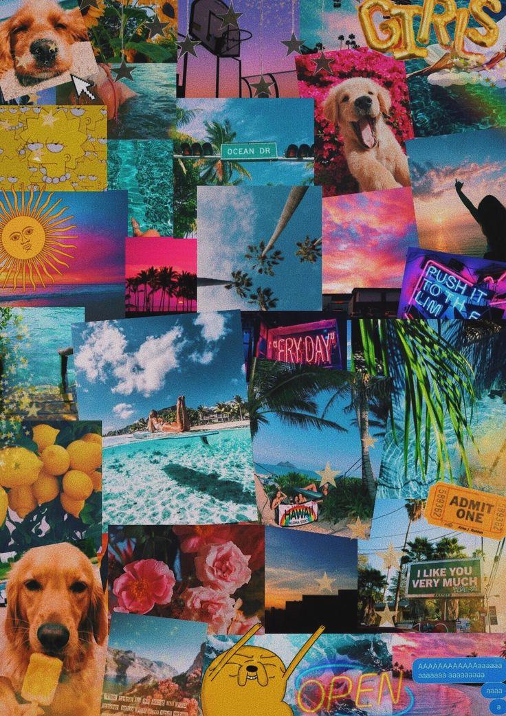 Pin Bellaxlovee Wallpaper iPhone Summer Collage