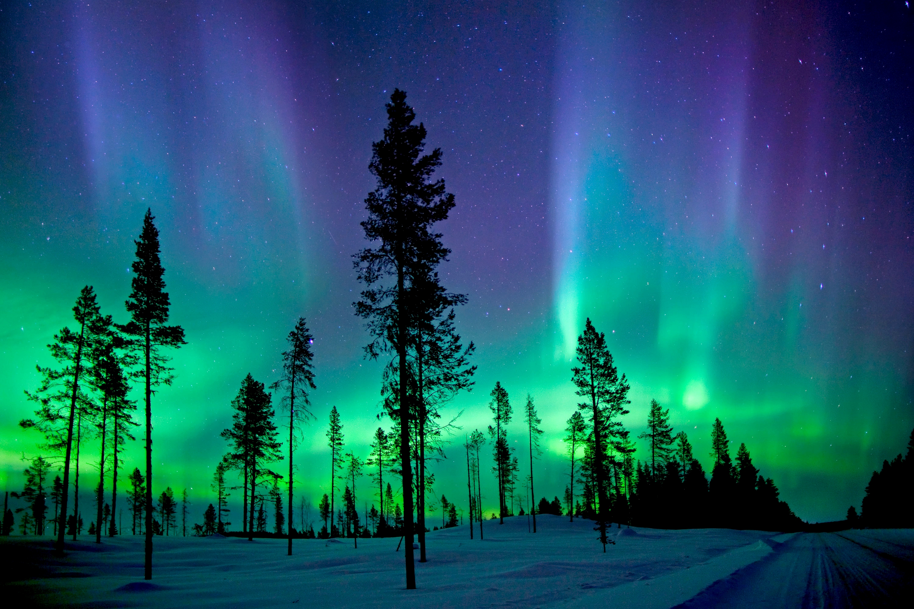 Bạn sẽ không muốn bỏ lỡ những hình nền vô cùng đẹp mắt với Aurora động lung linh trên màn hình của mình. Với hiệu ứng ánh sáng tuyệt đẹp của vũ trụ, bạn sẽ được trải nghiệm cảm giác lạnh lẽo và huyền bí của vùng đất băng giá.