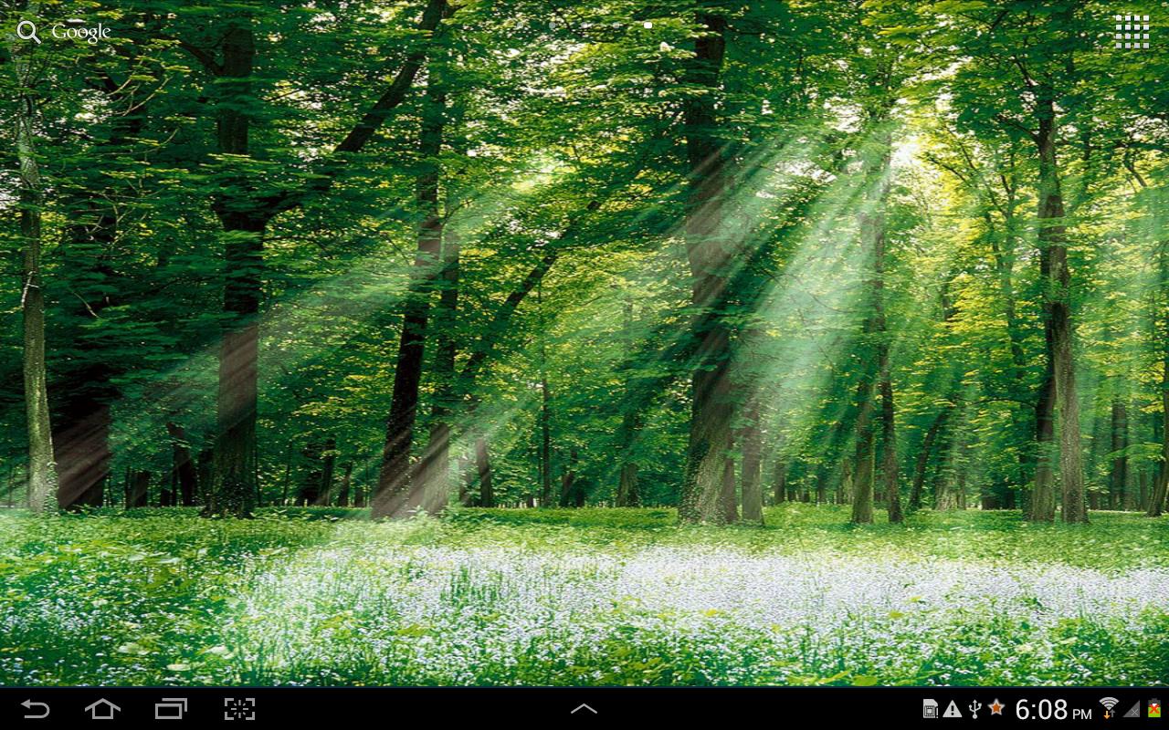 Forest Live Wallpaper Is Here To Pimp Your Android Phone And Tablet