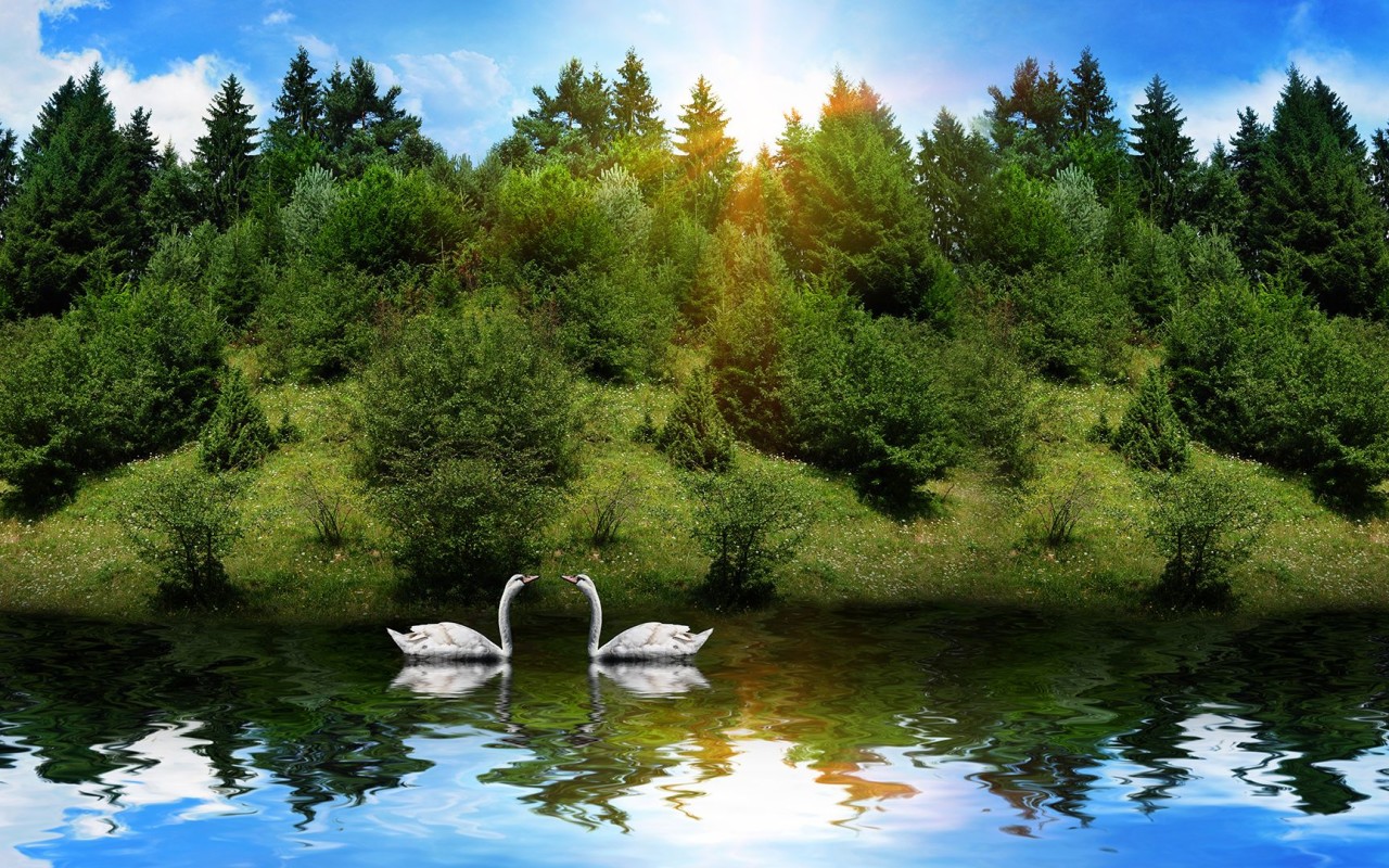 Beautiful Nature Background Wallpaper