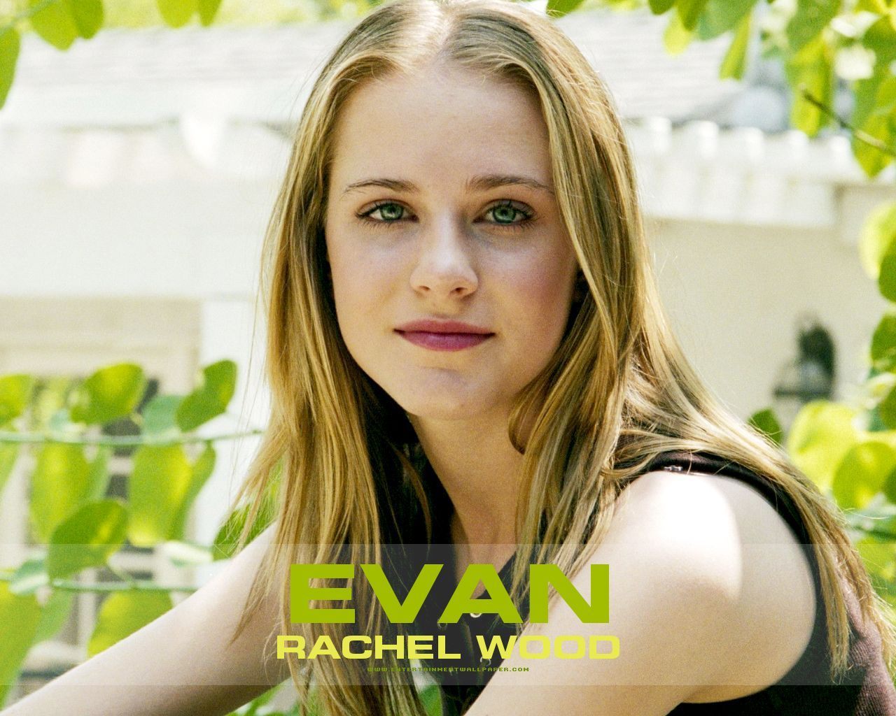 Evan Rachel Wood Wallpaper Phone Imagebank Biz