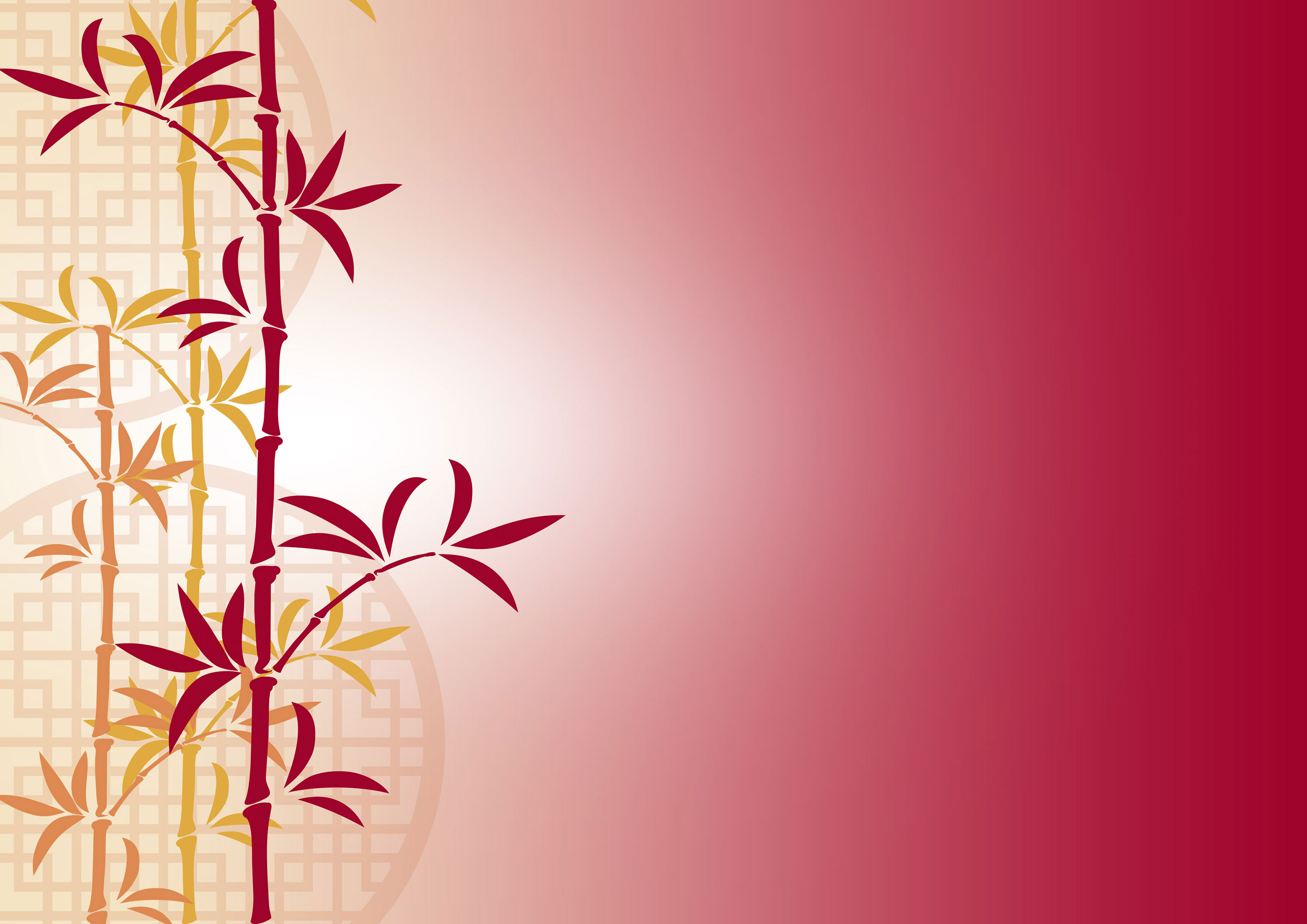 Chinese Lunar New Year Background HD Wallpaper For