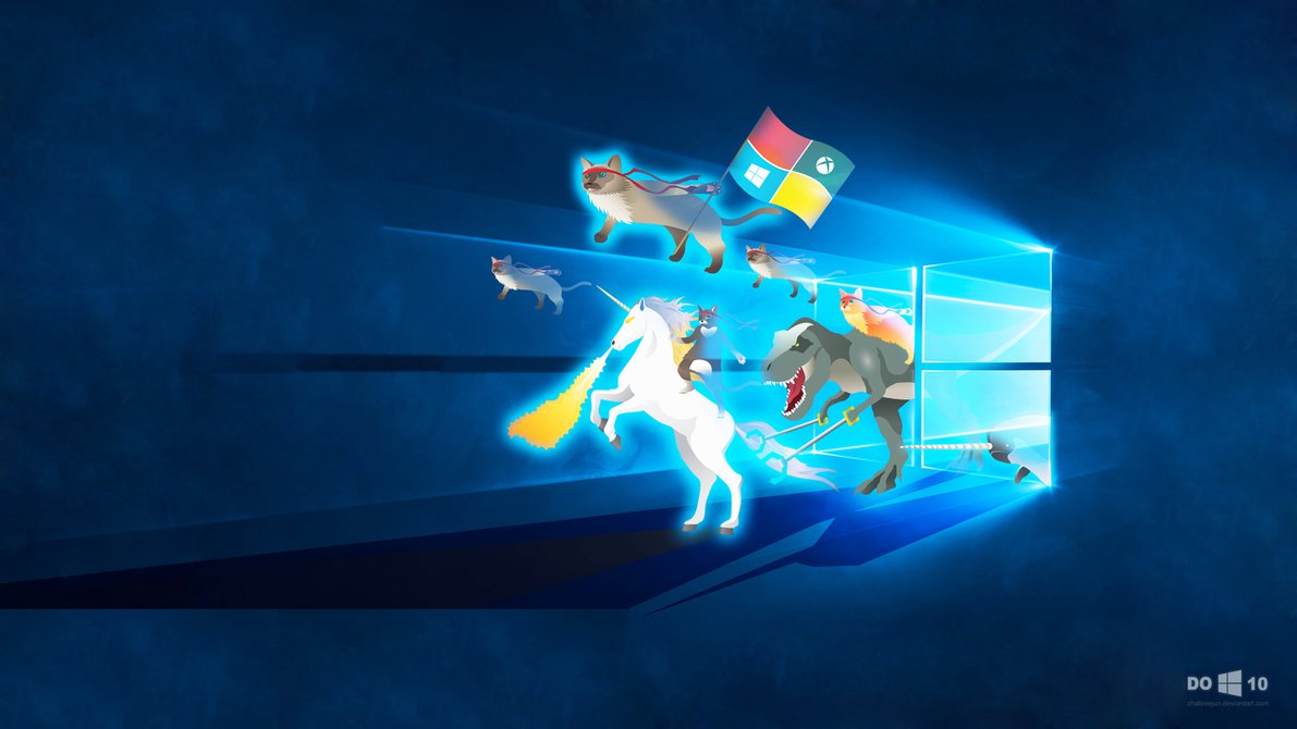 Windows Wallpaper Feat Ninja Cat Team By Zhalovejun