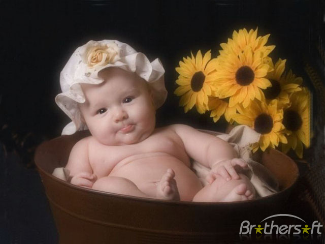 Amazing Babies Screensaver