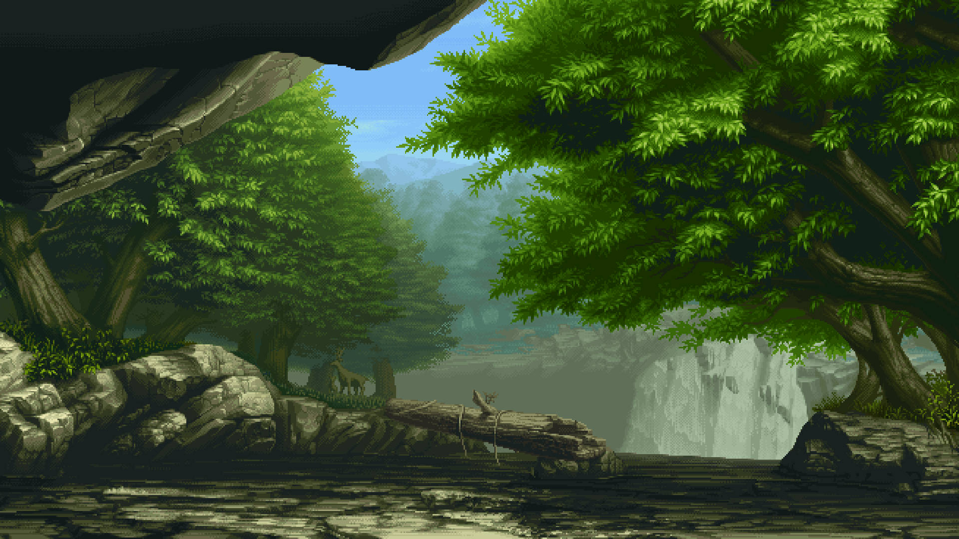 Nature Gifs   Gif Abyss 1920x1080