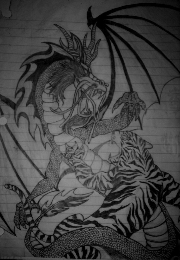 Dragon Vs Tiger By Psychicnomad