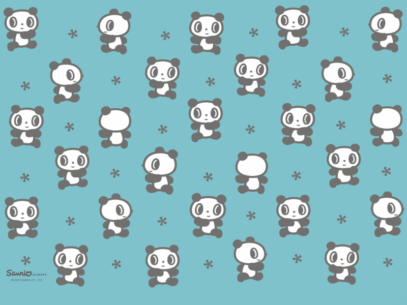 cute panda cartoon wallpapers