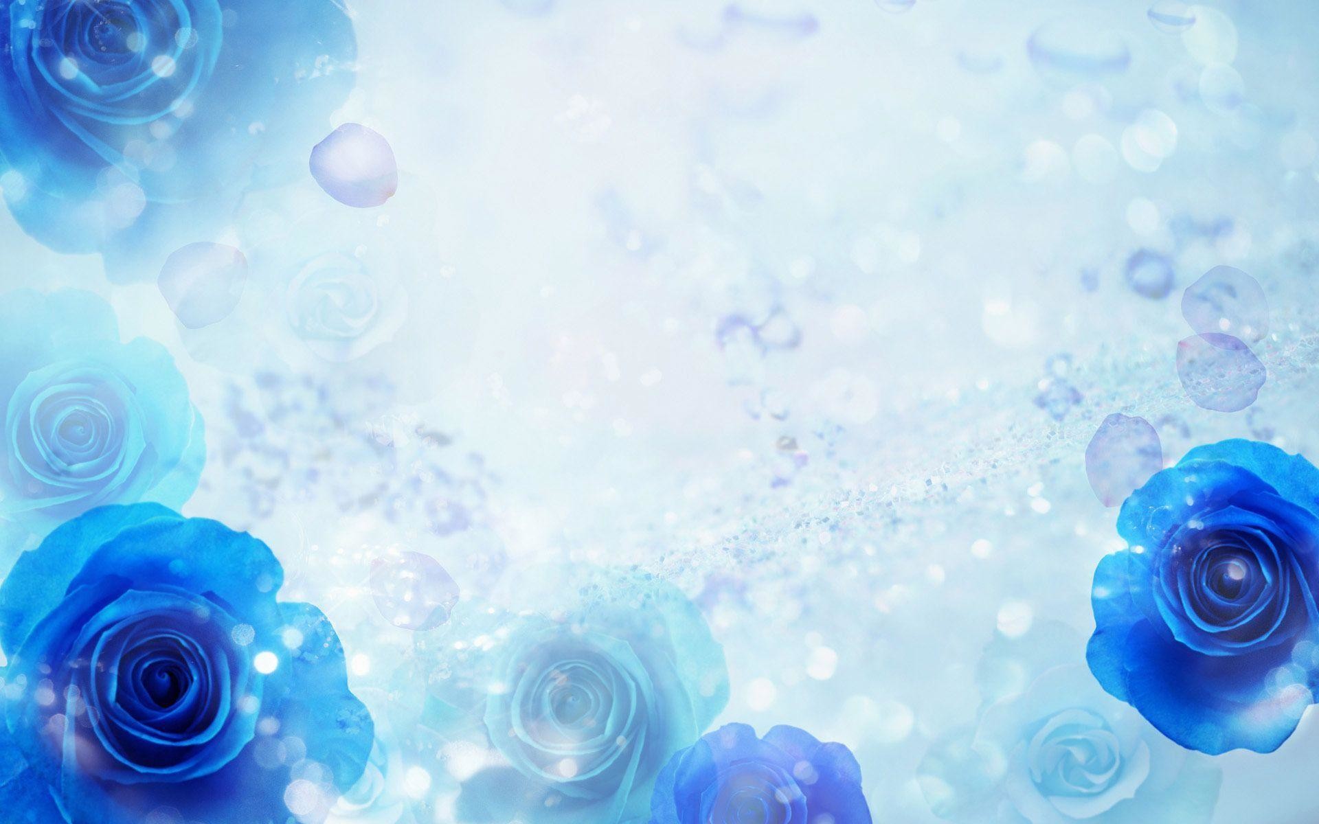 Blue Roses Background Wallpaper