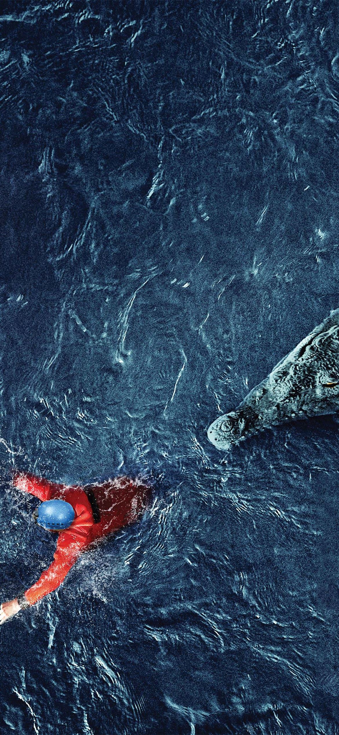 A person in a red wetsuit and blue helmet swims in dark blue water near a crocodile's head