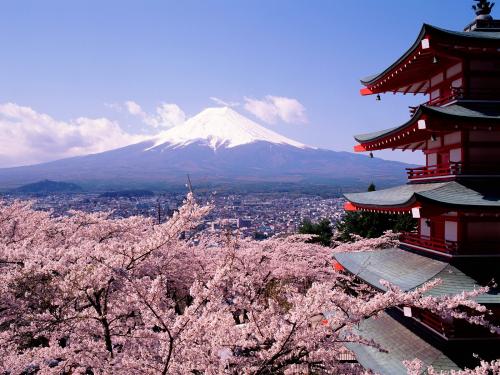  Blossoms And Mount Fuji Japan Widescreen 1280x800 Widescreen Wallpaper