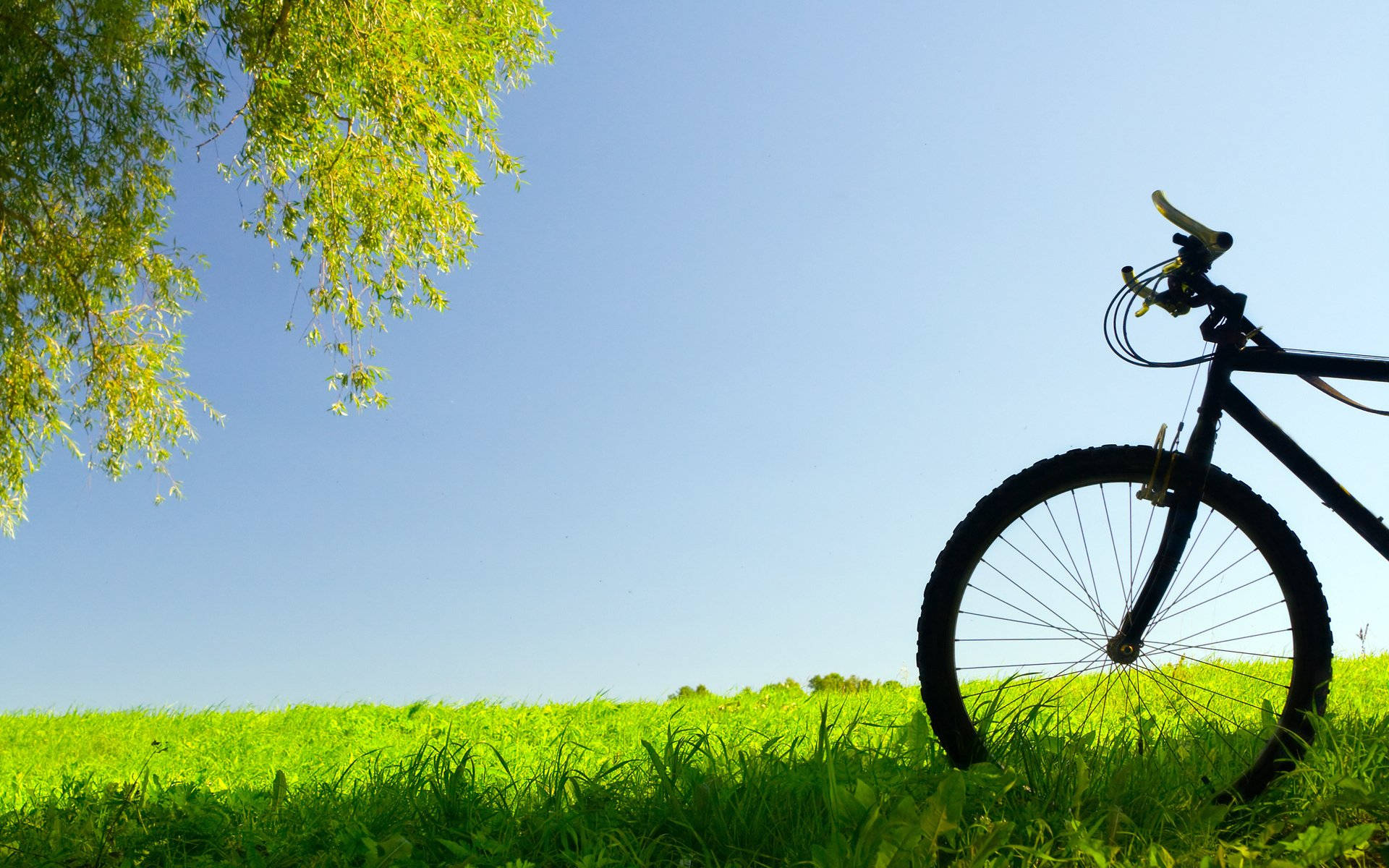Mountain Bike Wallpaper