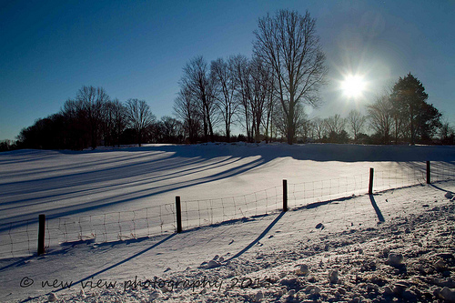 Winter Farm Flickr   Photo Sharing