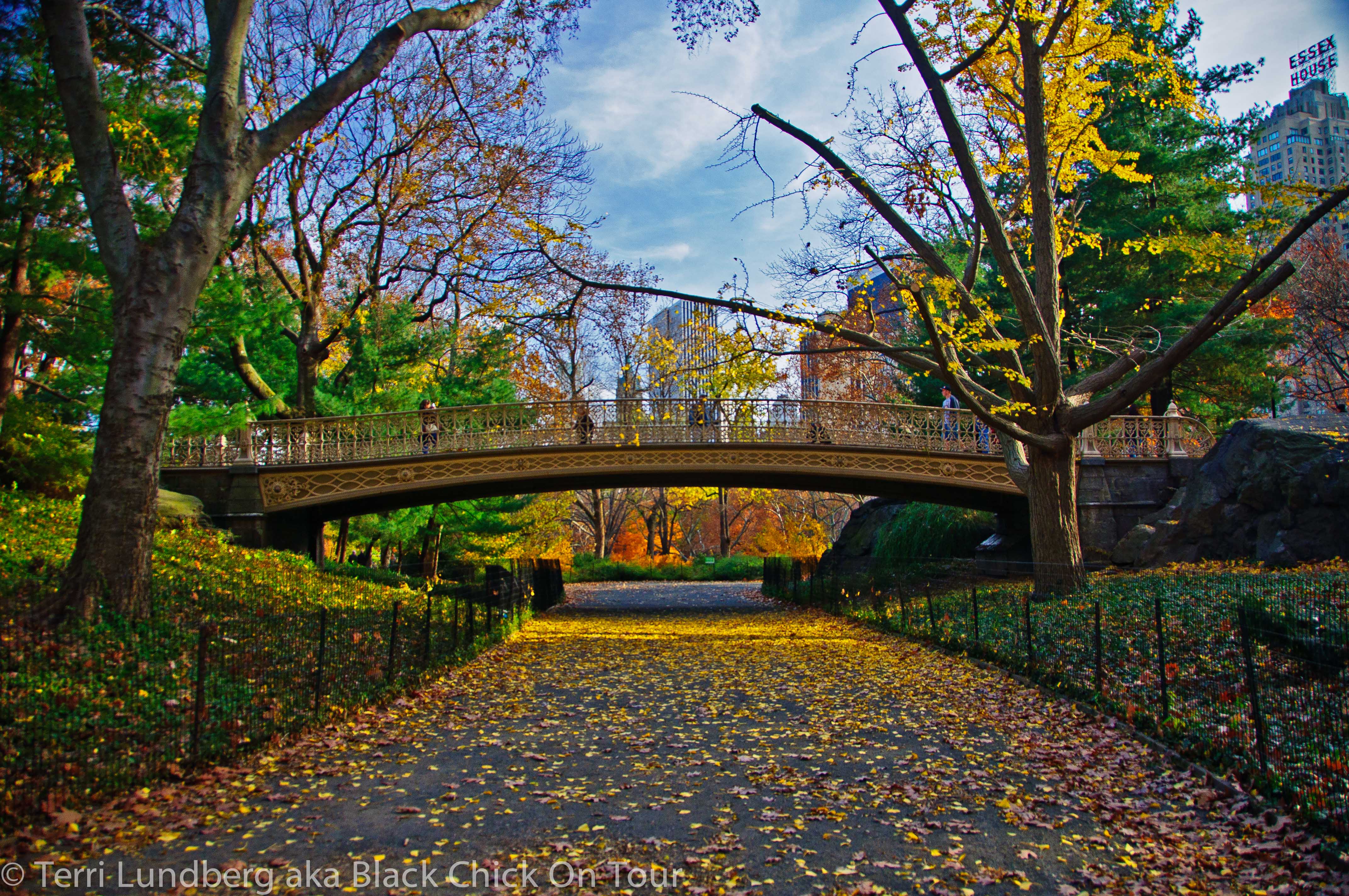 Central Park New York One Of The World S Most Famous Urban Parks