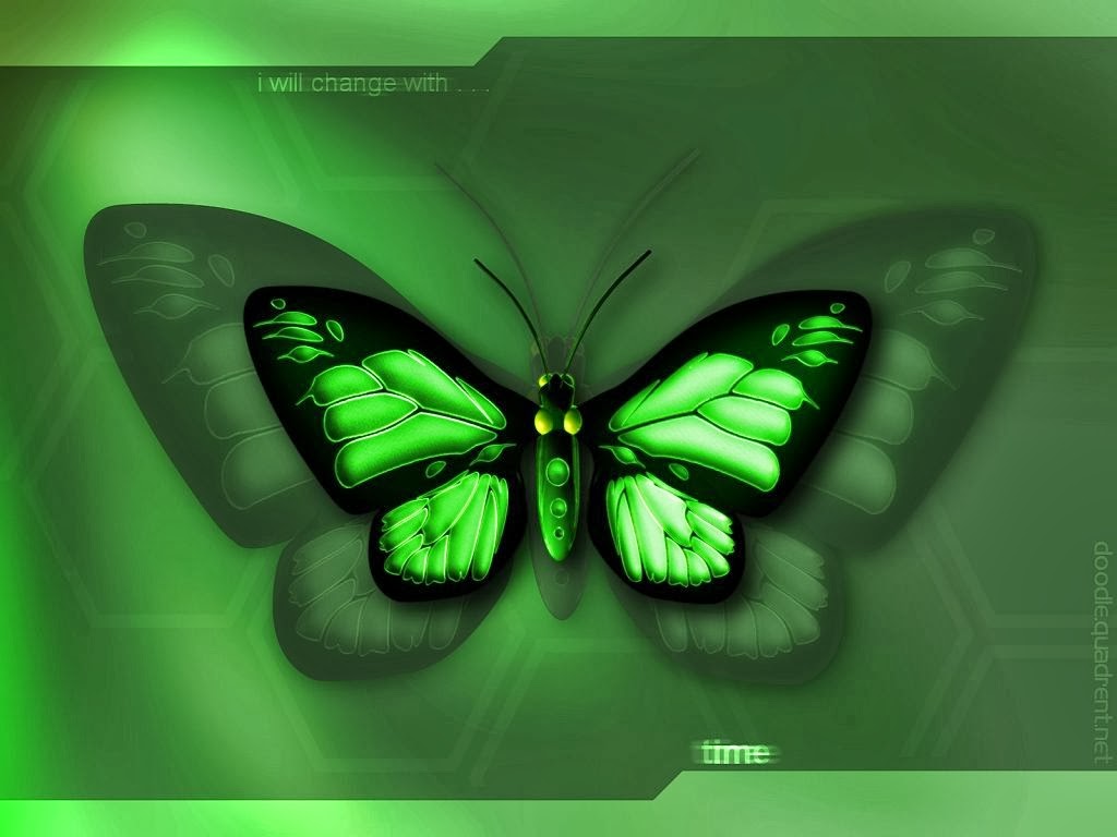 Live Butterfly Wallpaper And Make This