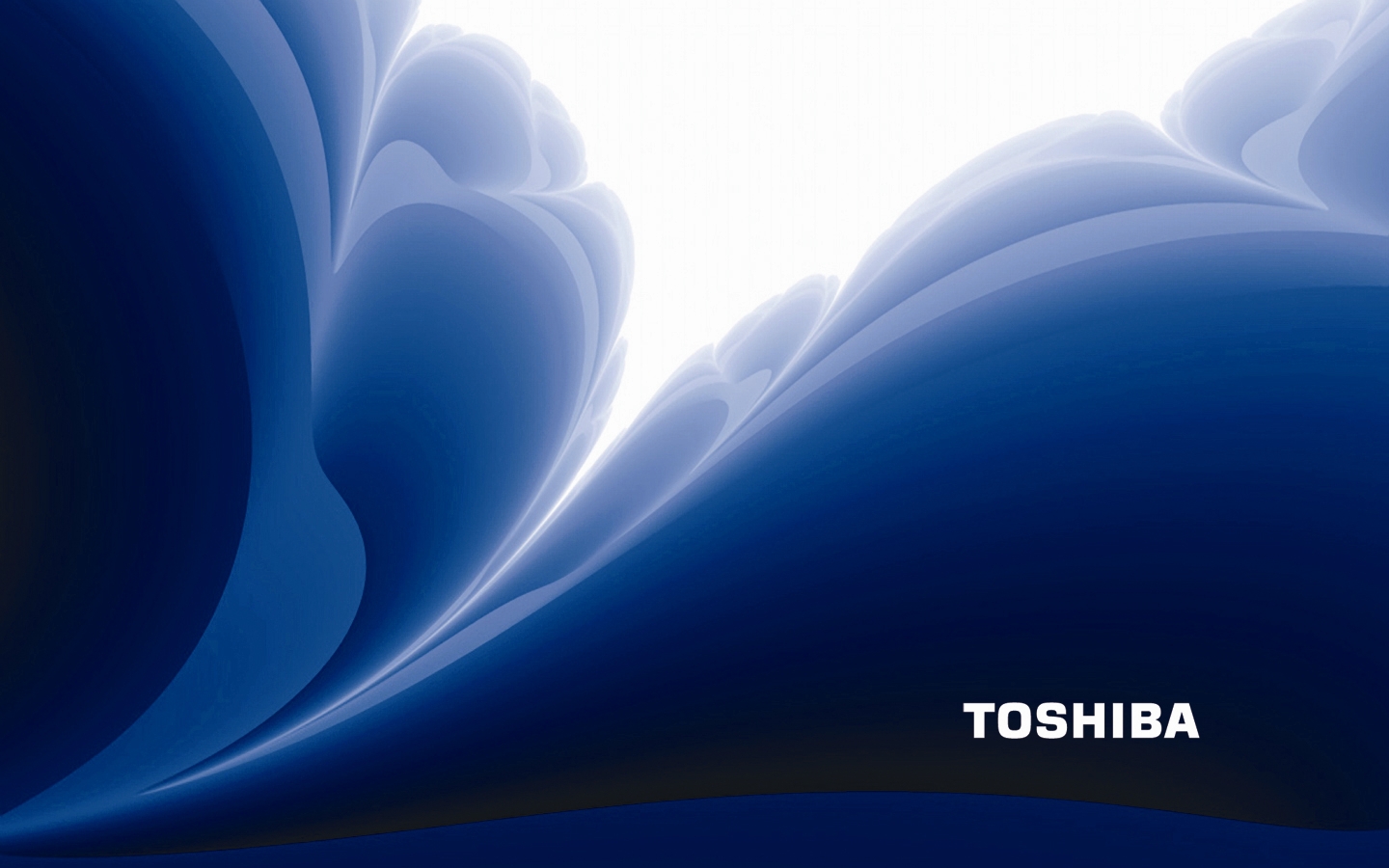 WinCustomize Explore LogonStudio Toshiba Logon 1440x900