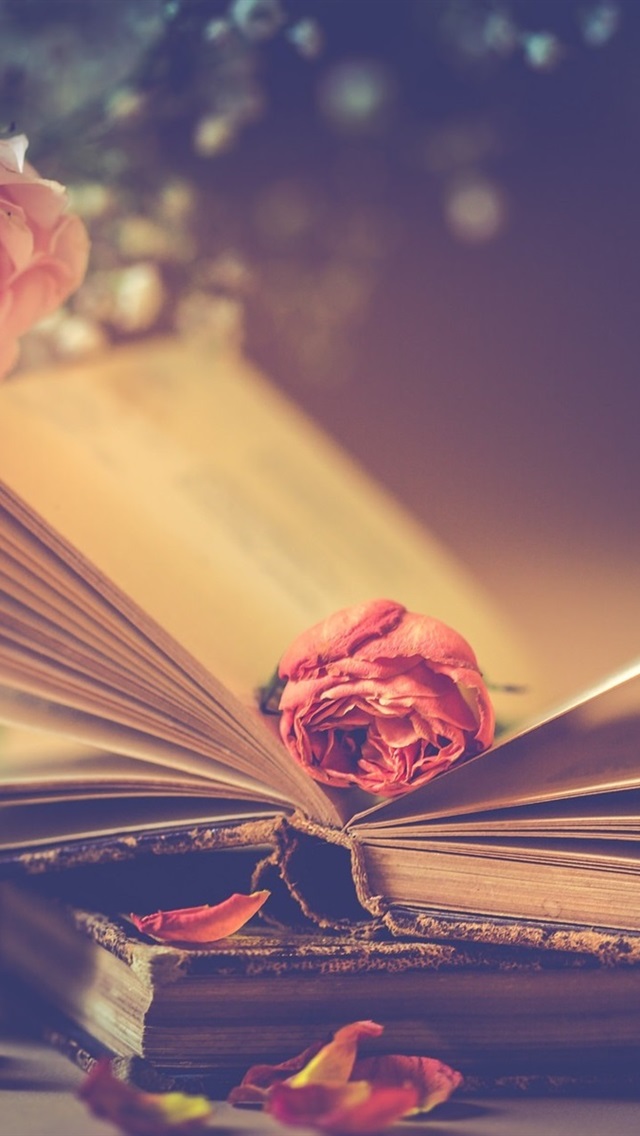iPhone Wallpaper Pink Roses And Books Romantic Fond D Cran