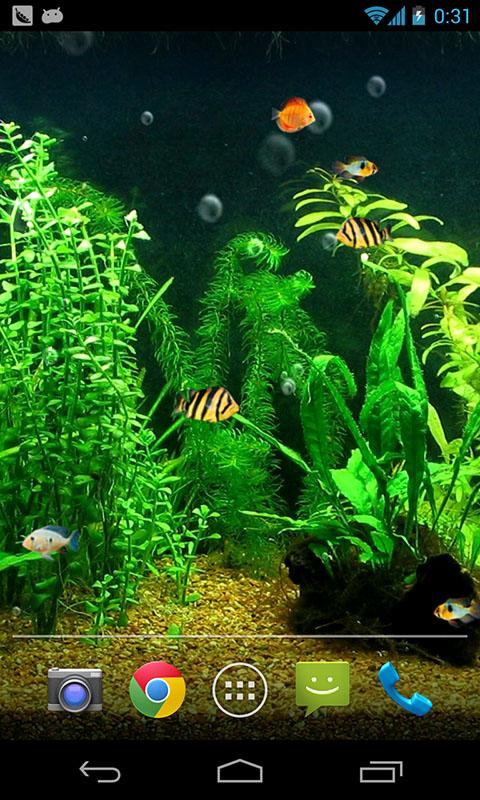 Fish Tank HD Live Wallpaper Android Apps On Google Play