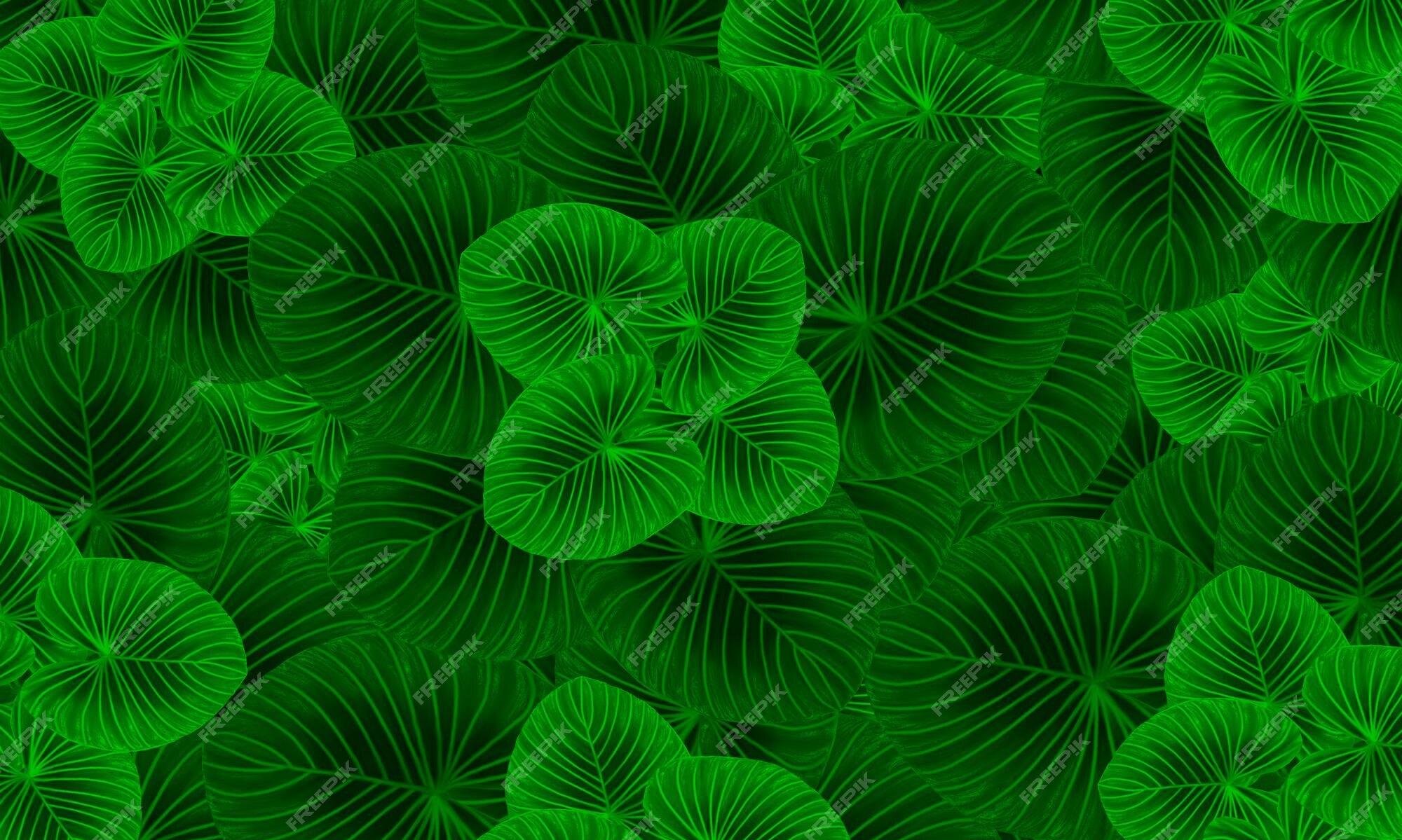 Premium Photo Green Tropical Leaves Pattern Abstract Spring