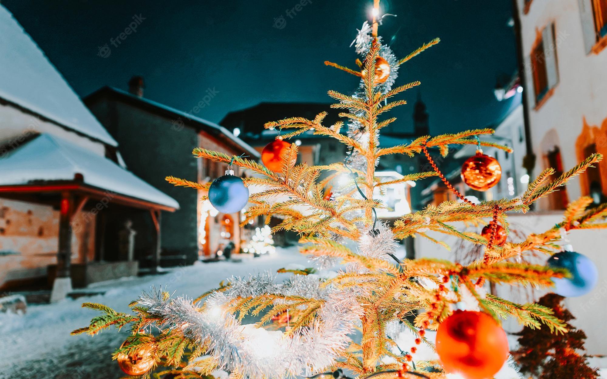 Premium Photo Christmas Fir Tree In Gruyere Fribourg During
