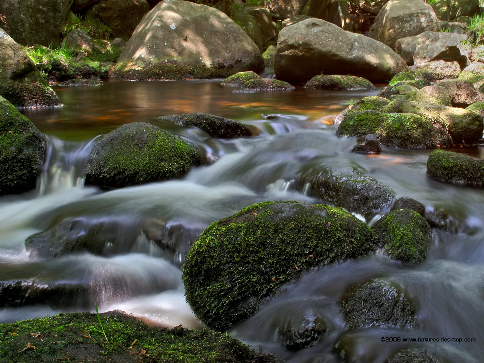 Free Download Beautiful Stream Wallpapers 1920x1200 For Your Desktop
