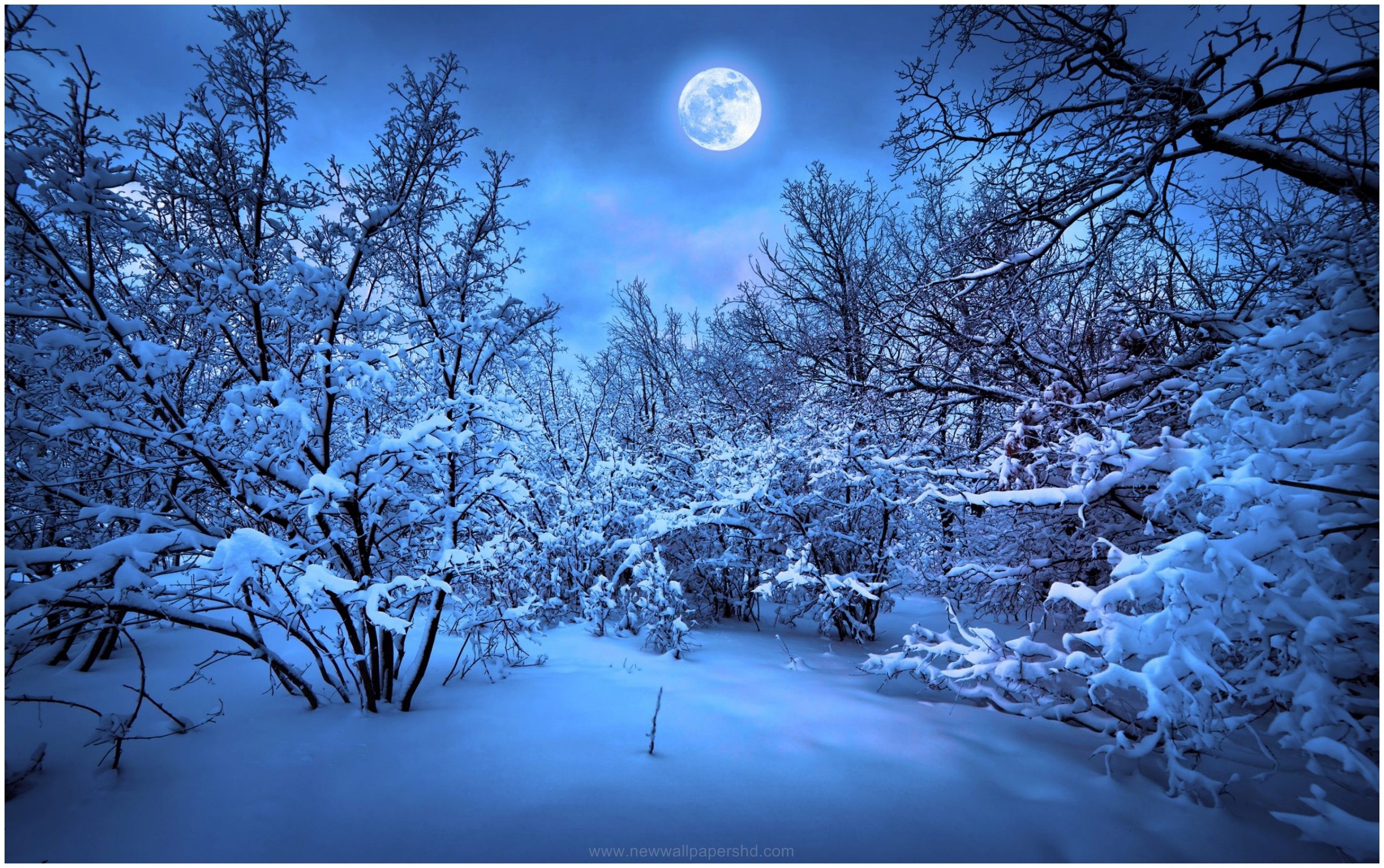 Winter Nights Full Moon HD Wallpaper Wood Art