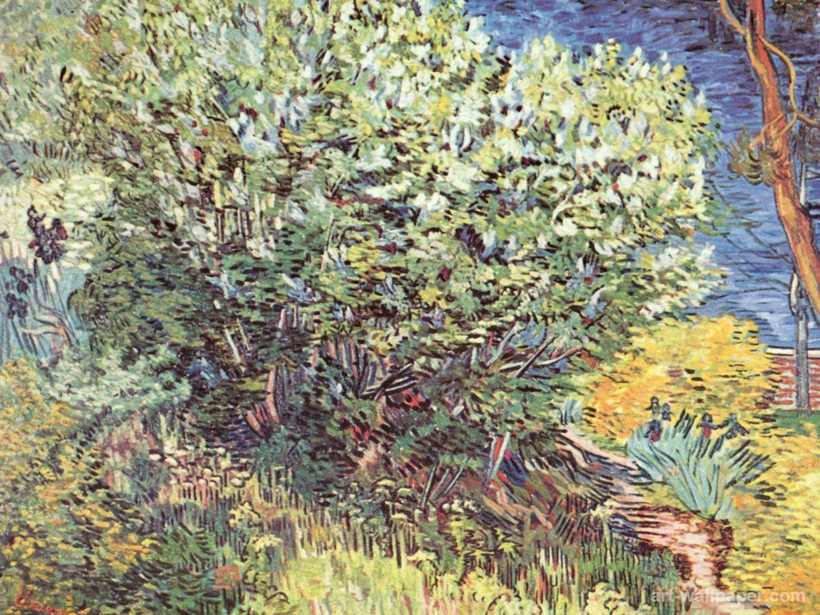 Lilac Bush Van Gogh Vincent Wallpapers