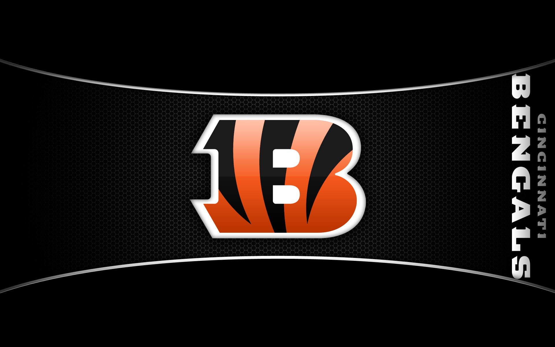Bengals Football Logo Images amp Pictures   Becuo