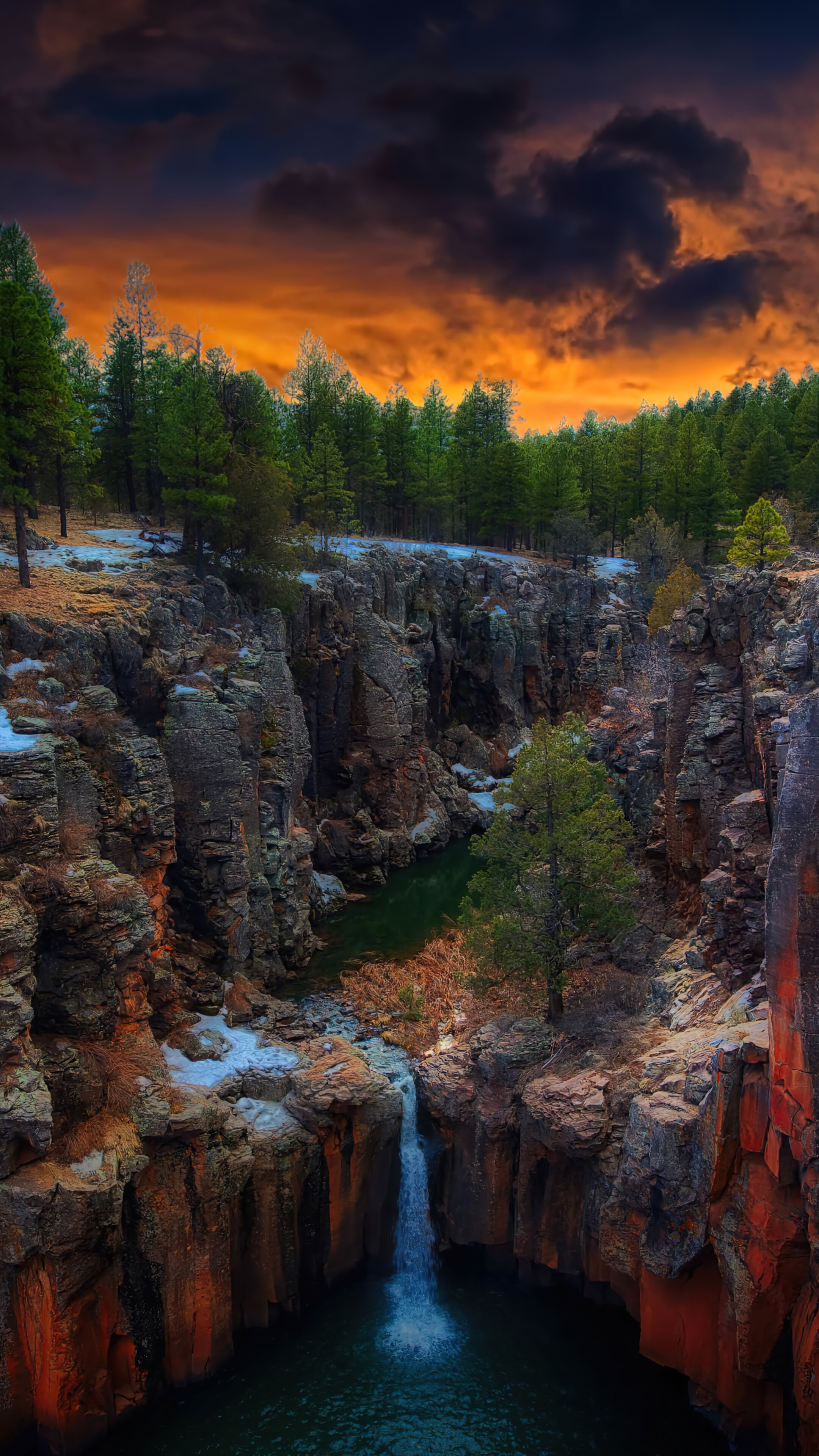 Nature Forest Tree Arizona Canyon Scenery Wallpaper 4k Pc Desktop