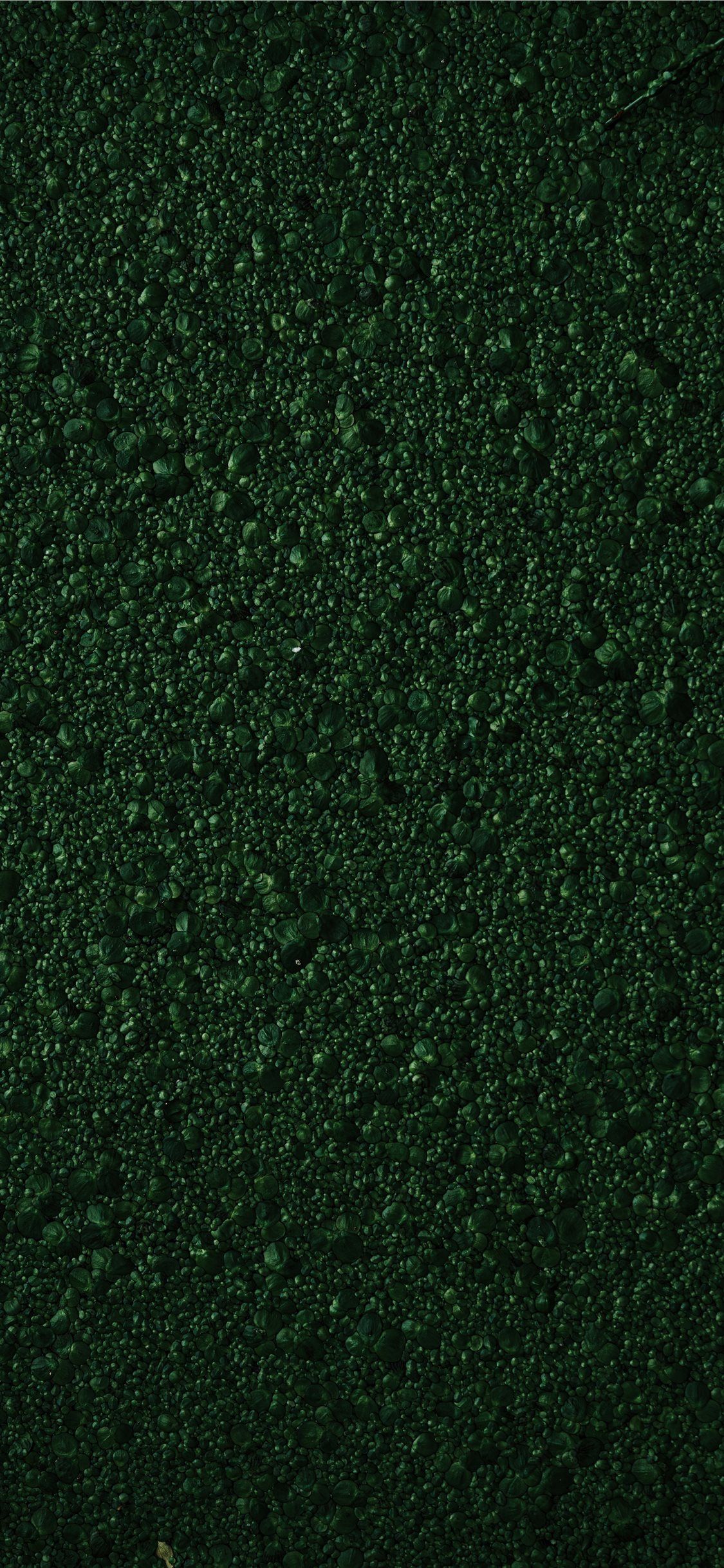 Creative iPhone Wallpaper