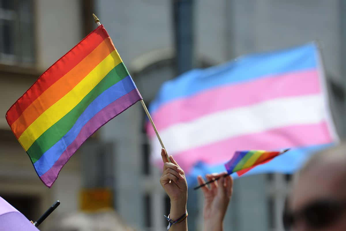Lgbt Flag Wallpaper