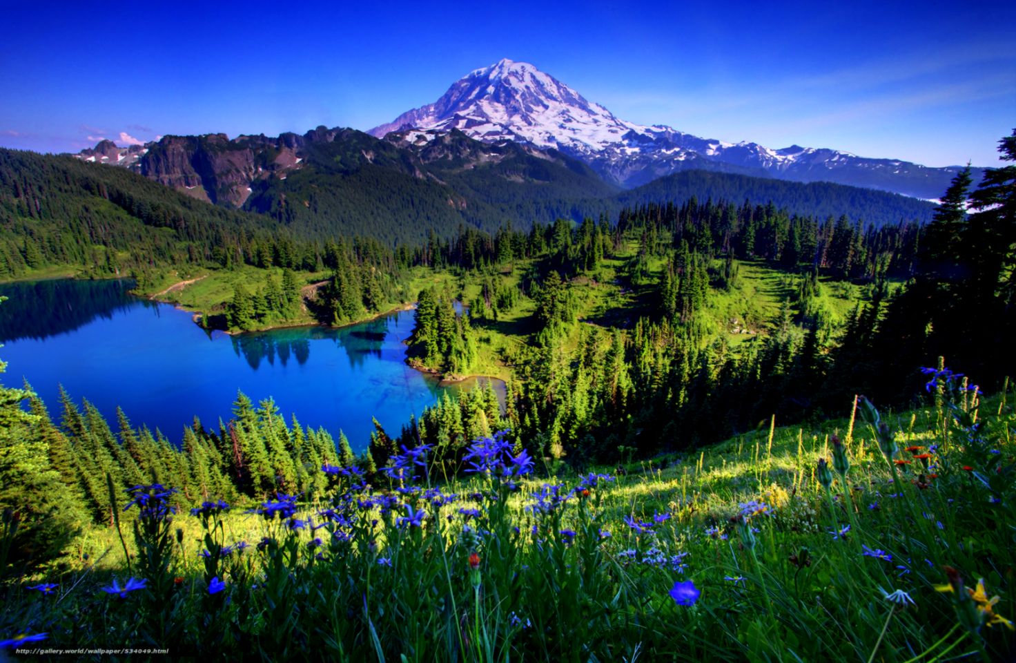 Mount Rainer National Park Wallpaper Android