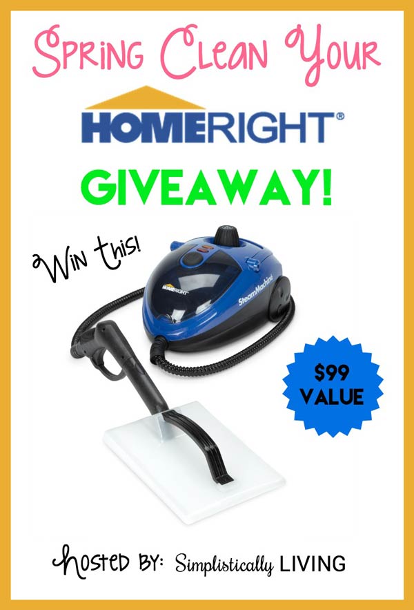 Free download HomeRight Steam Cleaning Machine Giveaway Work Money Fun