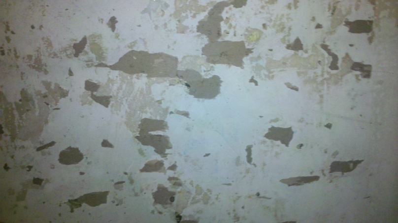 Painting Over Wallpaper No Other Option How To Proceed