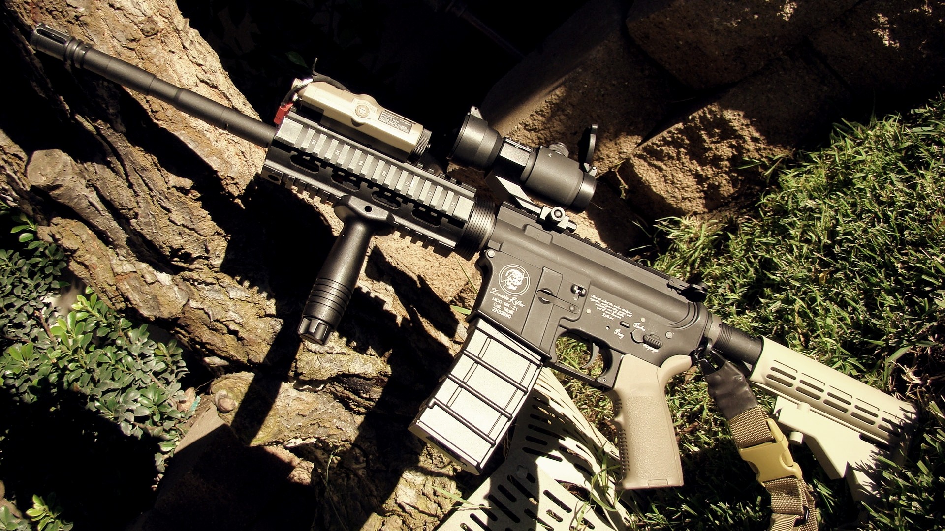 Explore The Collection Weapons Assault Rifle