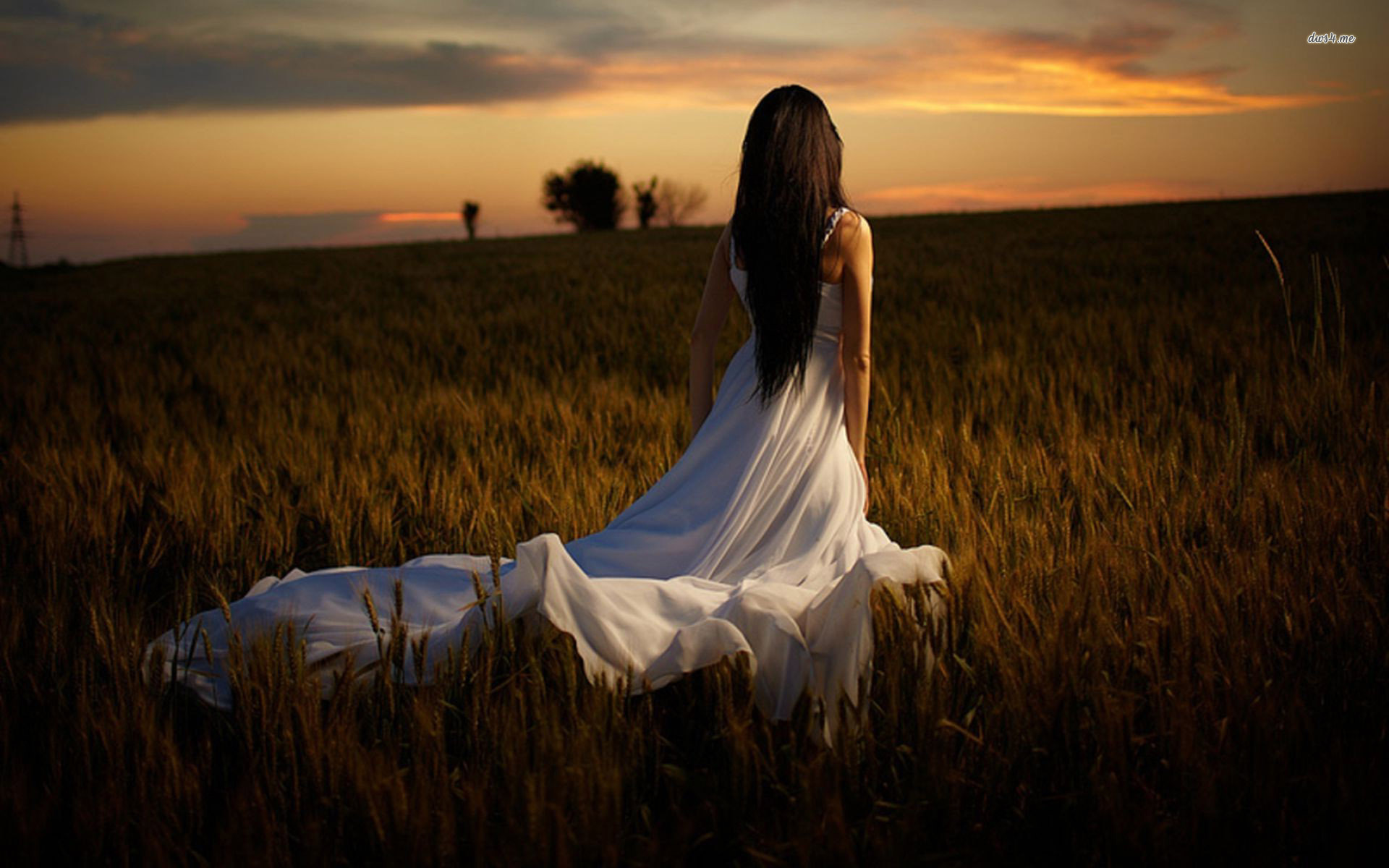Dress In The Barley Field Wallpaper Photography