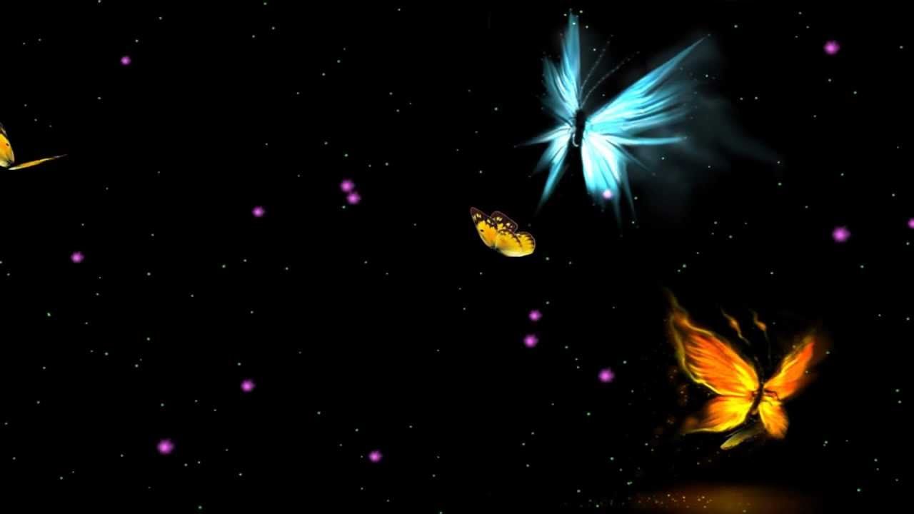 Animated Butterfly Wallpaper Top