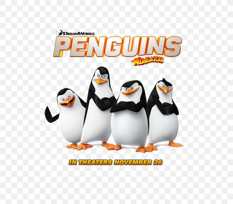 🔥 [41+] Skipper Wallpapers | WallpaperSafari