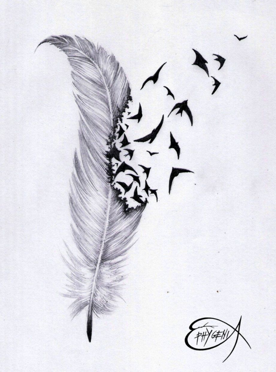 Feather Drawing Wallpaper Moving