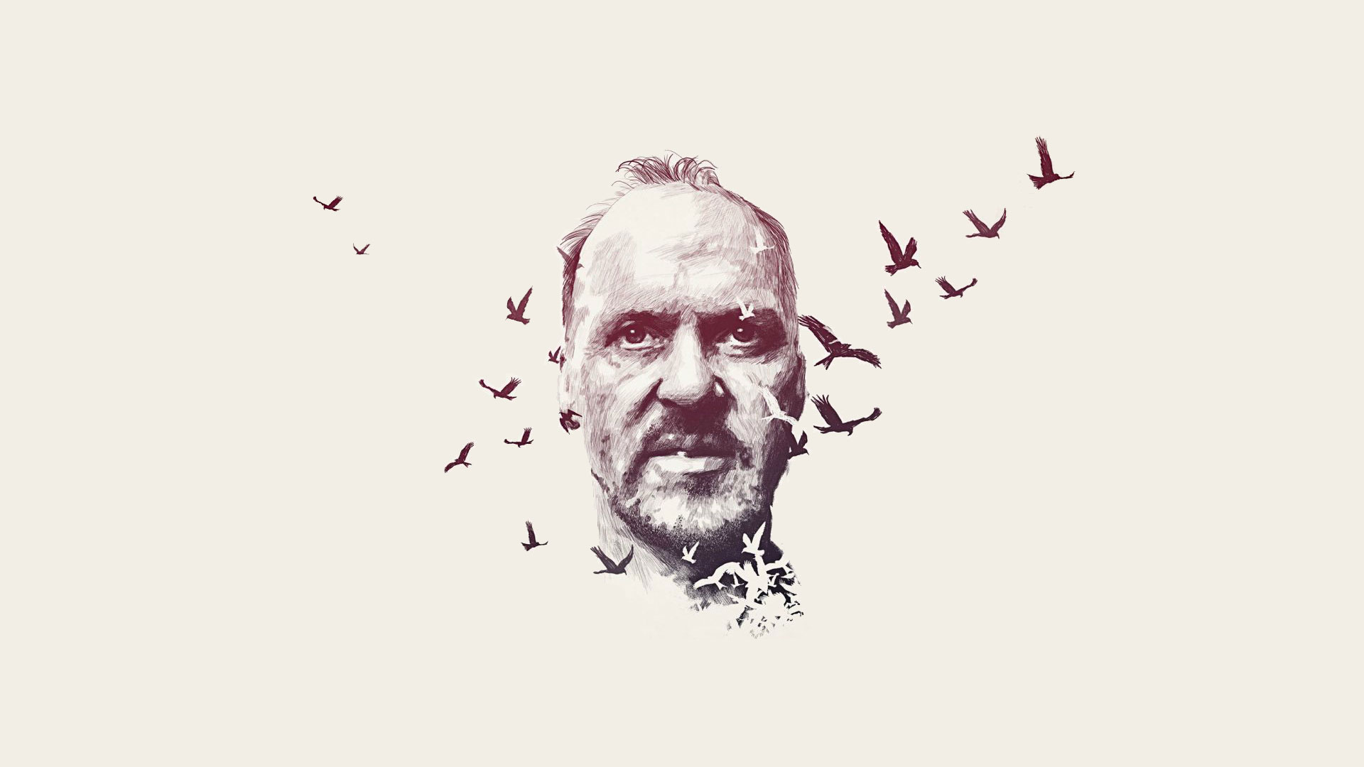 Birdman HD Wallpaper Background Image Id