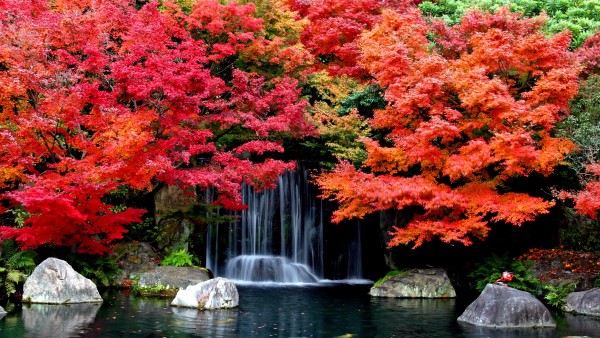 Scenic Autumn Waterfall 3d Wallpaper Uk Background For All