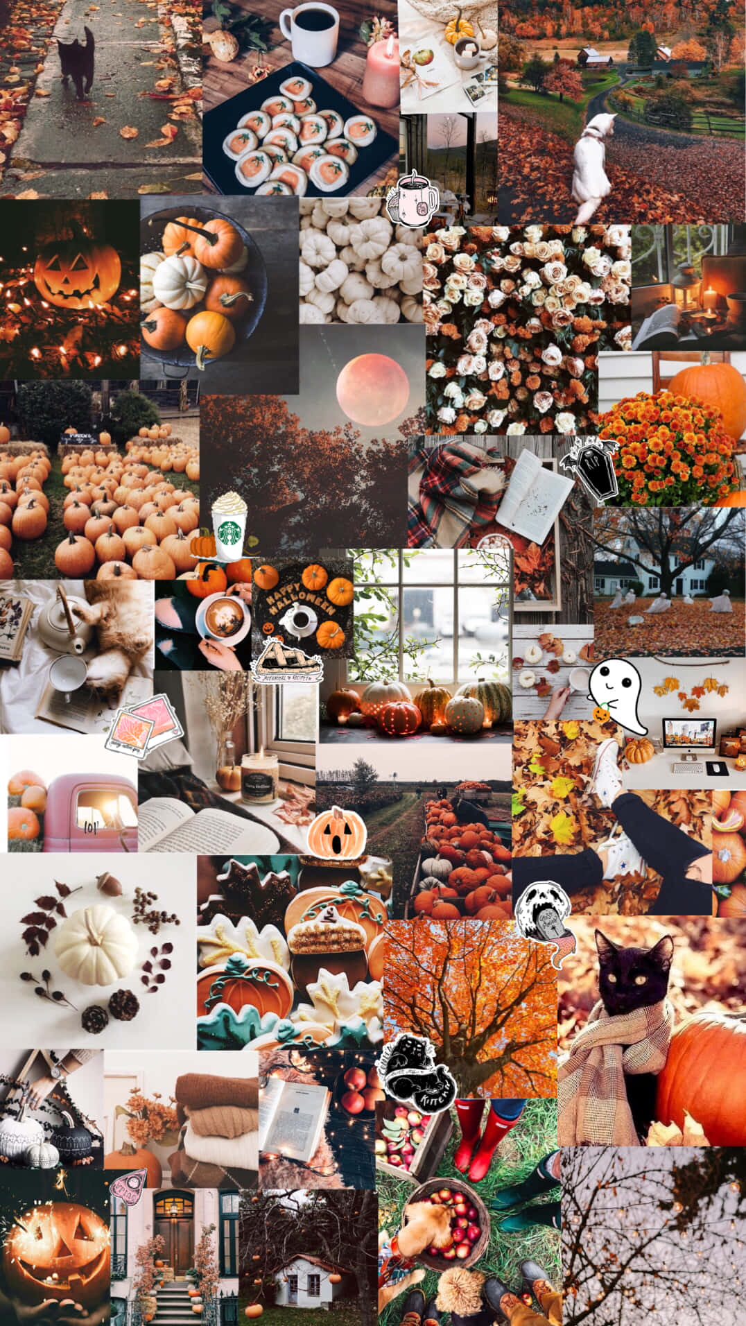 Halloween Aesthetic Girl Wallpaper