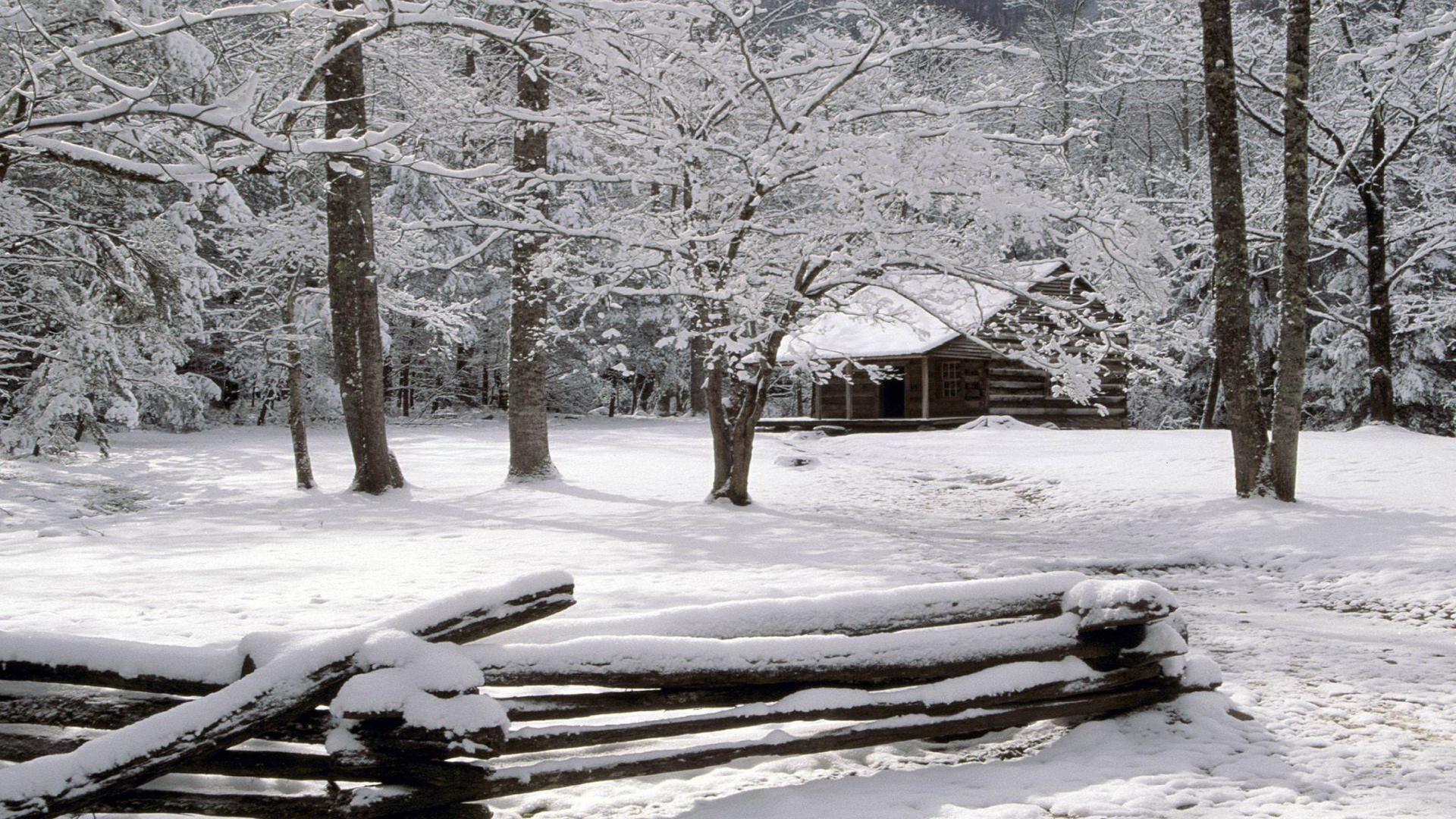 In Winter Great Smoky Mountains National Park Tennessee Wallpaper