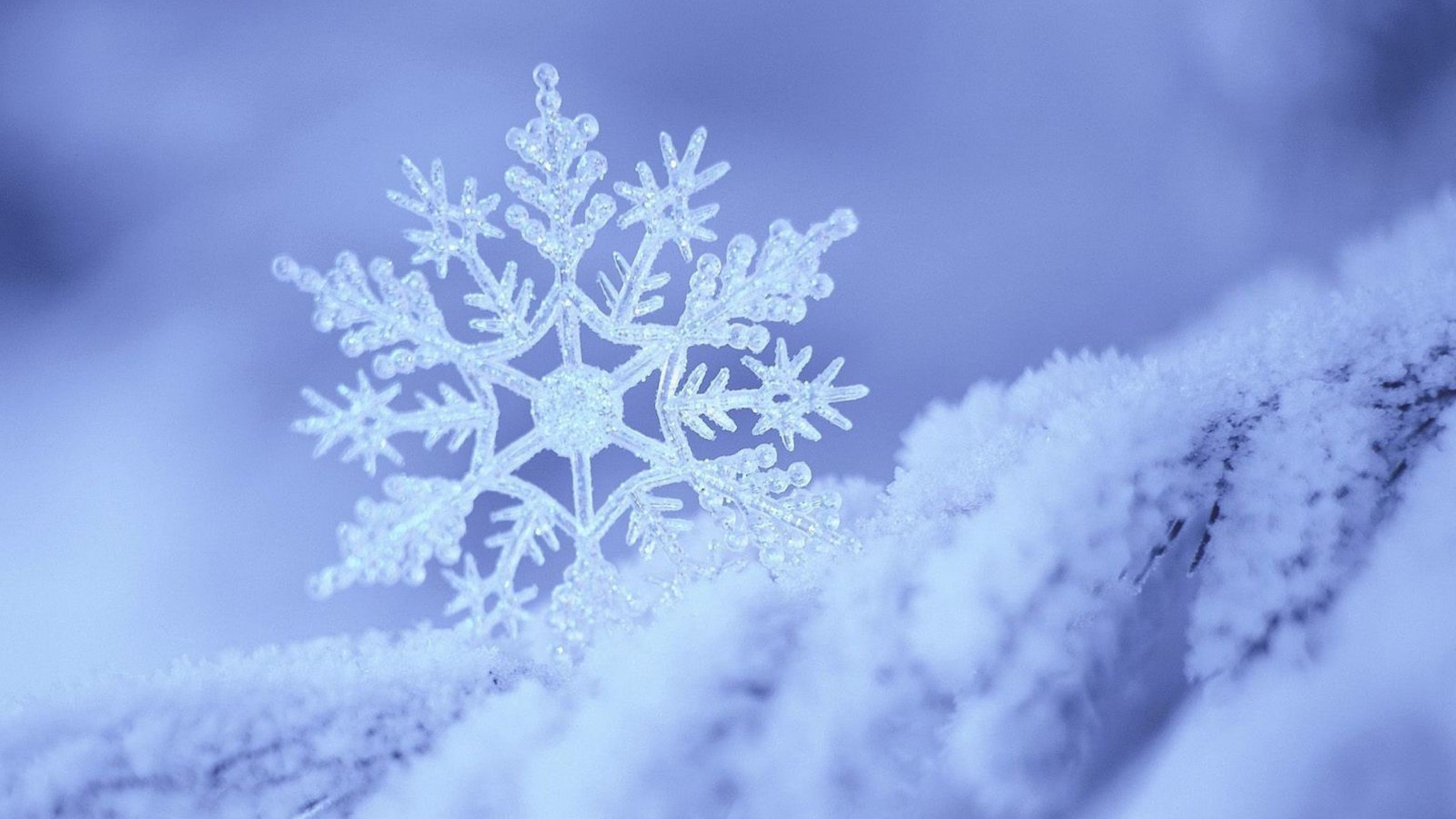 Snowflake Desktop Background Wallpaper